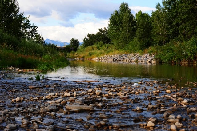 Sleepy Hollow Campground | 1229 Waterton Ave, Pincher Creek, AB T0K 1W0, Canada | Phone: (403) 627-2033