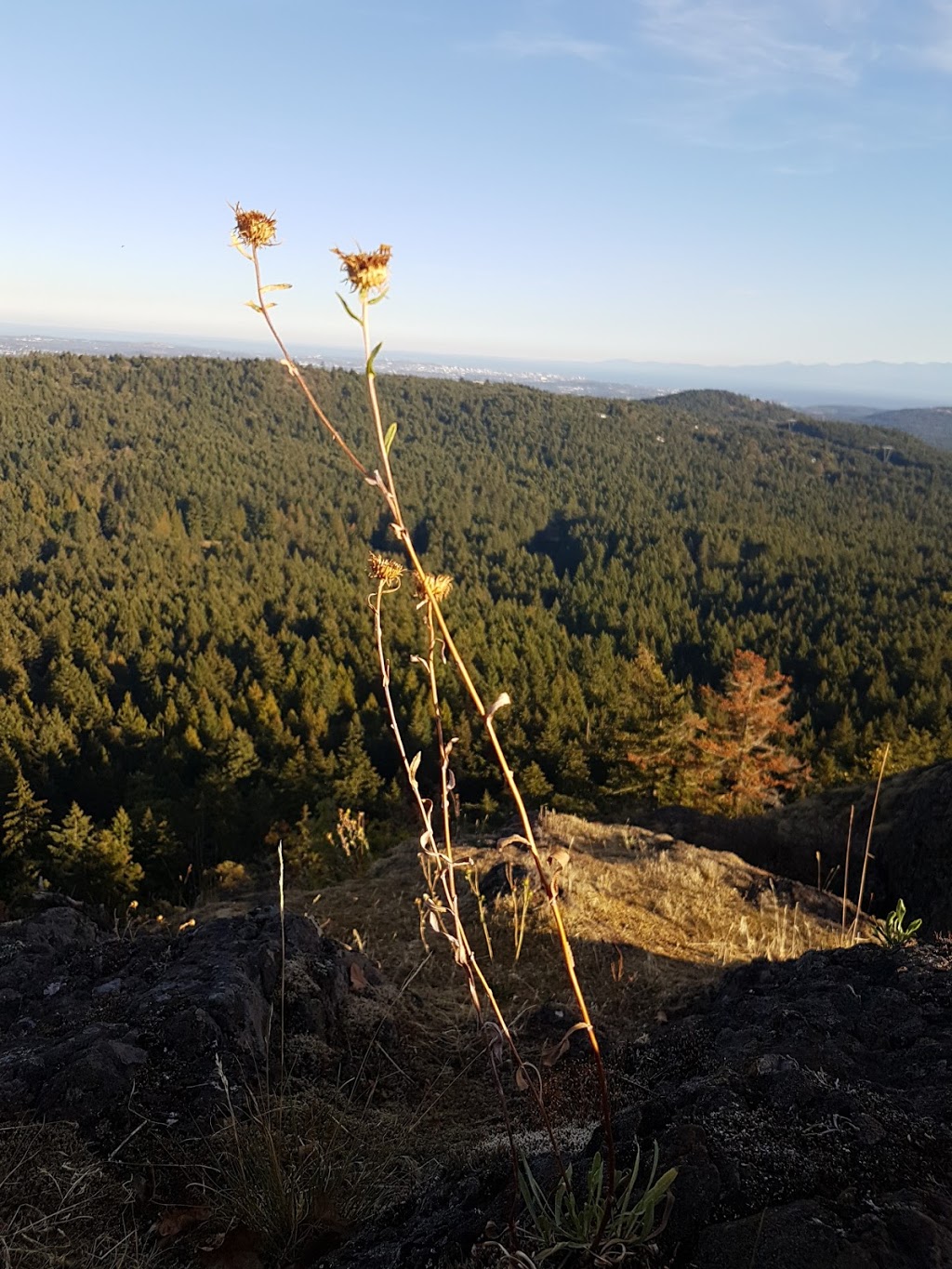 Lone Tree Hill Regional Park - Main Parking Lot | 1452 Millstream Rd, Victoria, BC V9B 6G1, Canada