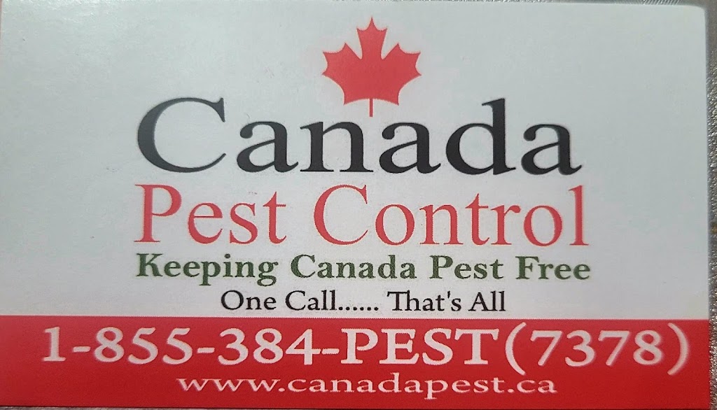 Canada Pest Control | Tinsmith St, Brampton, ON L7A 1N3, Canada | Phone: (416) 565-0505