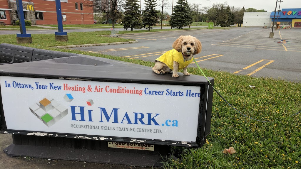 Hi-Mark Occupational Skills Training Centre Ltd | 2508 Del Zotto Ave, Gloucester, ON K1T 3V7, Canada | Phone: (613) 822-0188