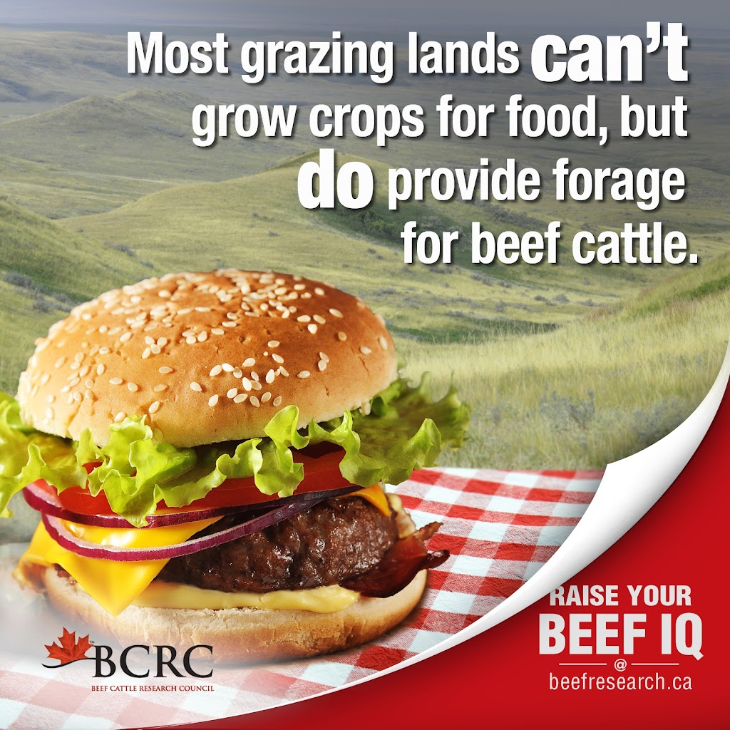 Beef Cattle Research Council | 6815 8 St NE #180, Calgary, AB T2E 7H7, Canada | Phone: (403) 275-8558