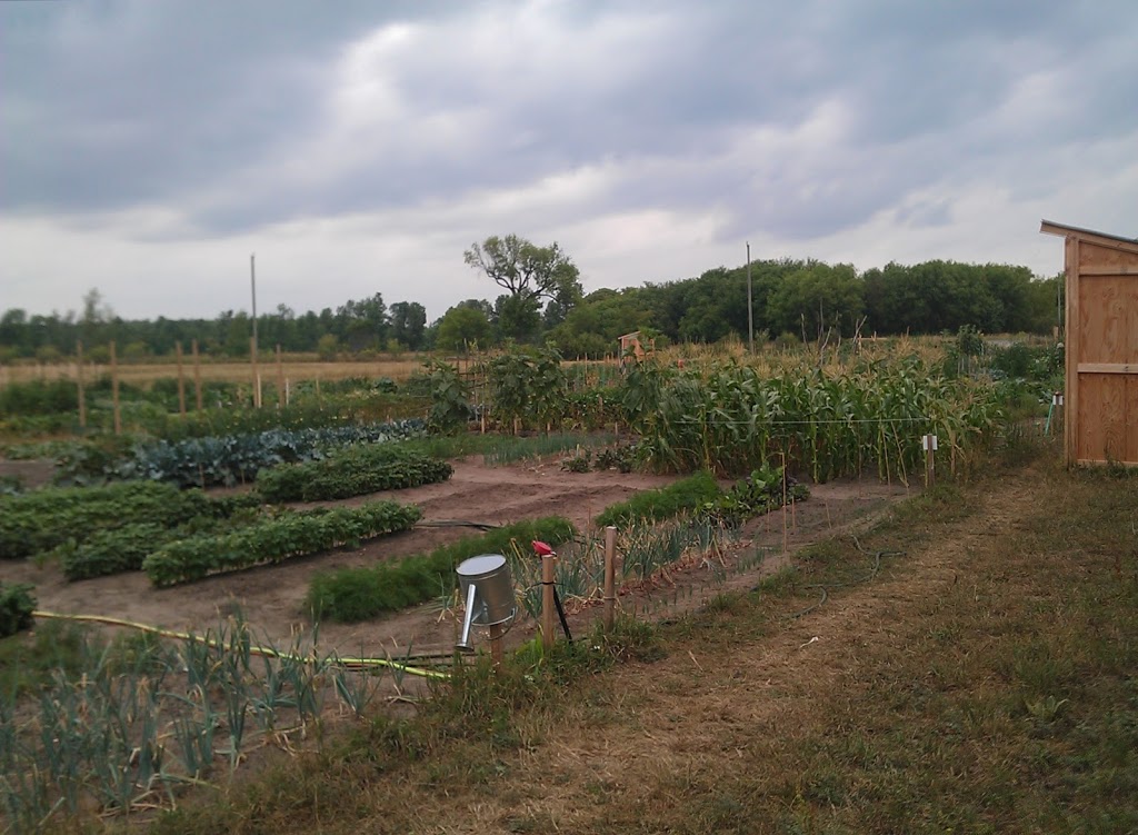 Riverside South Community Garden | Spratt Rd, Gloucester, ON K4M 0E2, Canada | Phone: (613) 822-3079