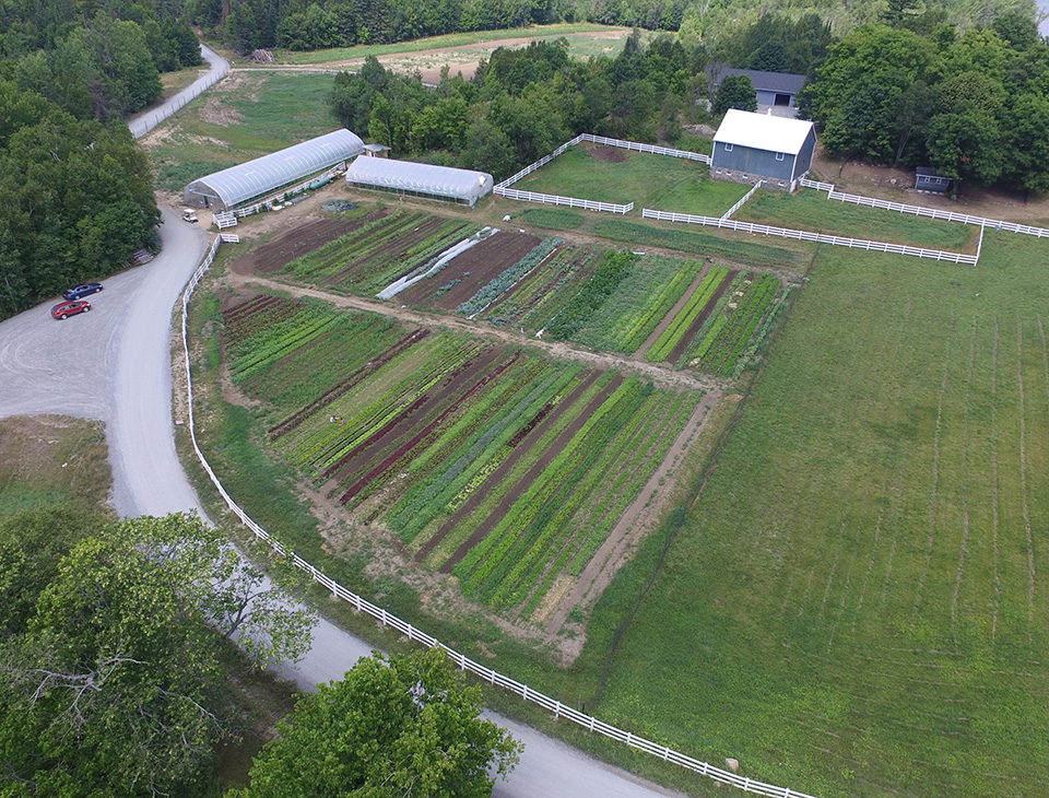 Curries Corner Farm | 116 Bethune Rd N, Huntsville, ON P1H 2J2, Canada | Phone: (705) 909-0080