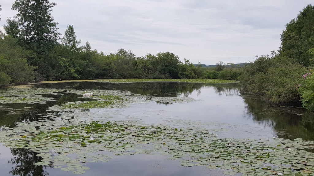 Wye Marsh Wildlife Centre | 16160 Highway 12 East, Midland, ON L4R 4K6, Canada | Phone: (705) 526-7809