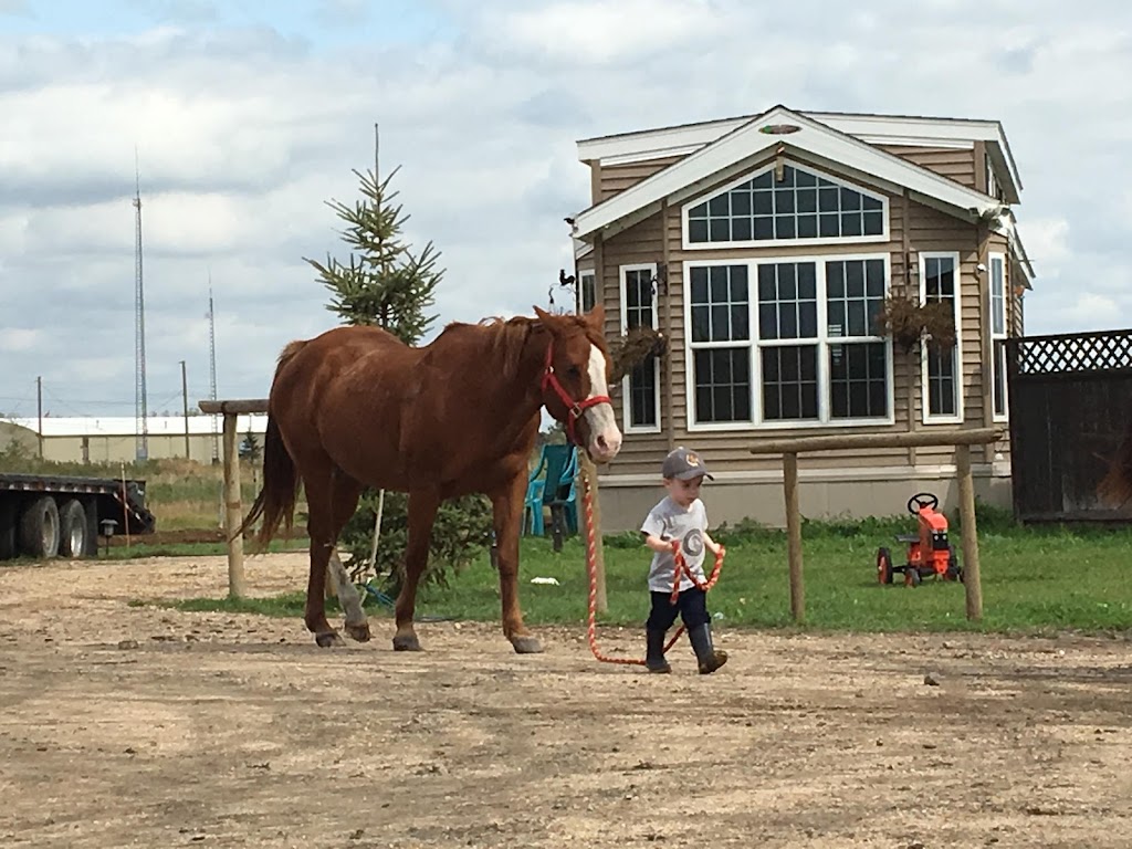 Sunrise Equestrian Centre | 59133 Hwy 12, Anola, MB R0E 0A0, Canada | Phone: (204) 805-7402