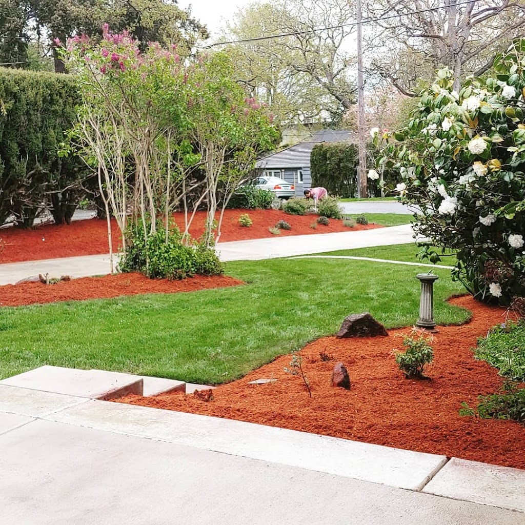 TOMEI Landscaping Ltd | 1123 Goldstream Ave, Victoria, BC V9B 2Y9, Canada | Phone: (250) 710-0337