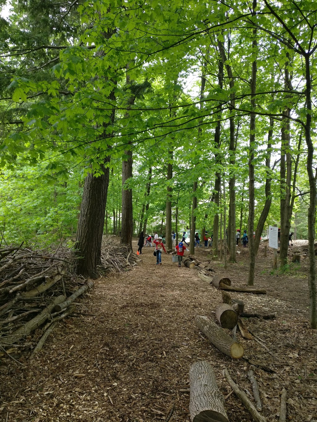 Forest Valley Outdoor Education Centre | North York, ON M3H 4W5, Canada | Phone: (416) 395-5110