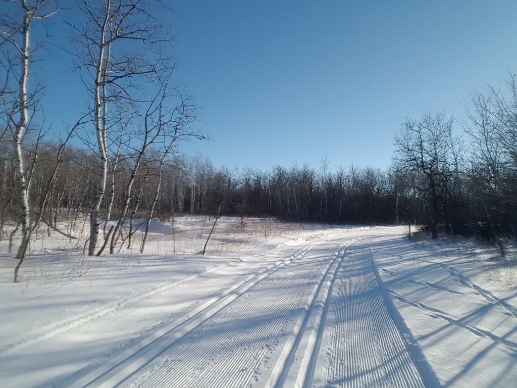 Nimowin Self-Guiding Trail | Nimowin Rd, Oakbank, MB R0E 1J0, Canada | Phone: (866) 626-4862