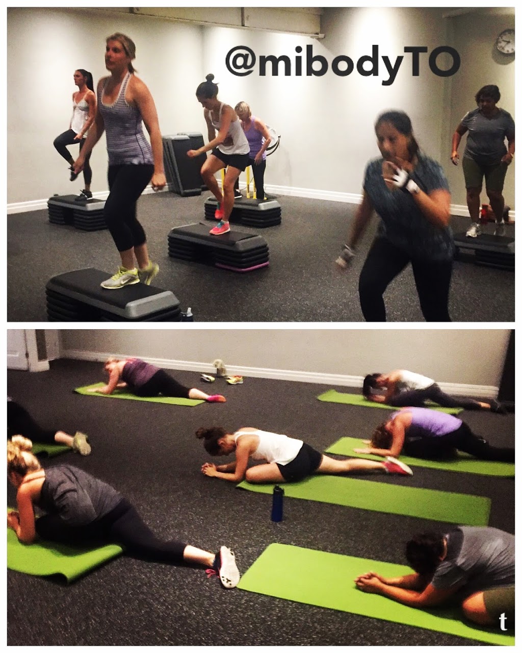 Mibody Health and Fitness | 2788 Lake Shore Blvd W, Etobicoke, ON M8V 1H5, Canada | Phone: (416) 301-7586