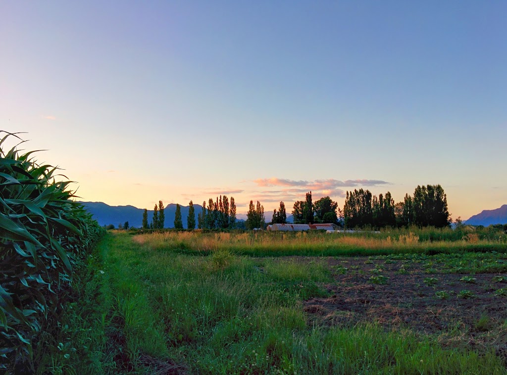 Forstbauer Family Natural Food Farm | 49350 Prairie Central Rd, Chilliwack, BC V2P 6H3, Canada | Phone: (604) 794-3999