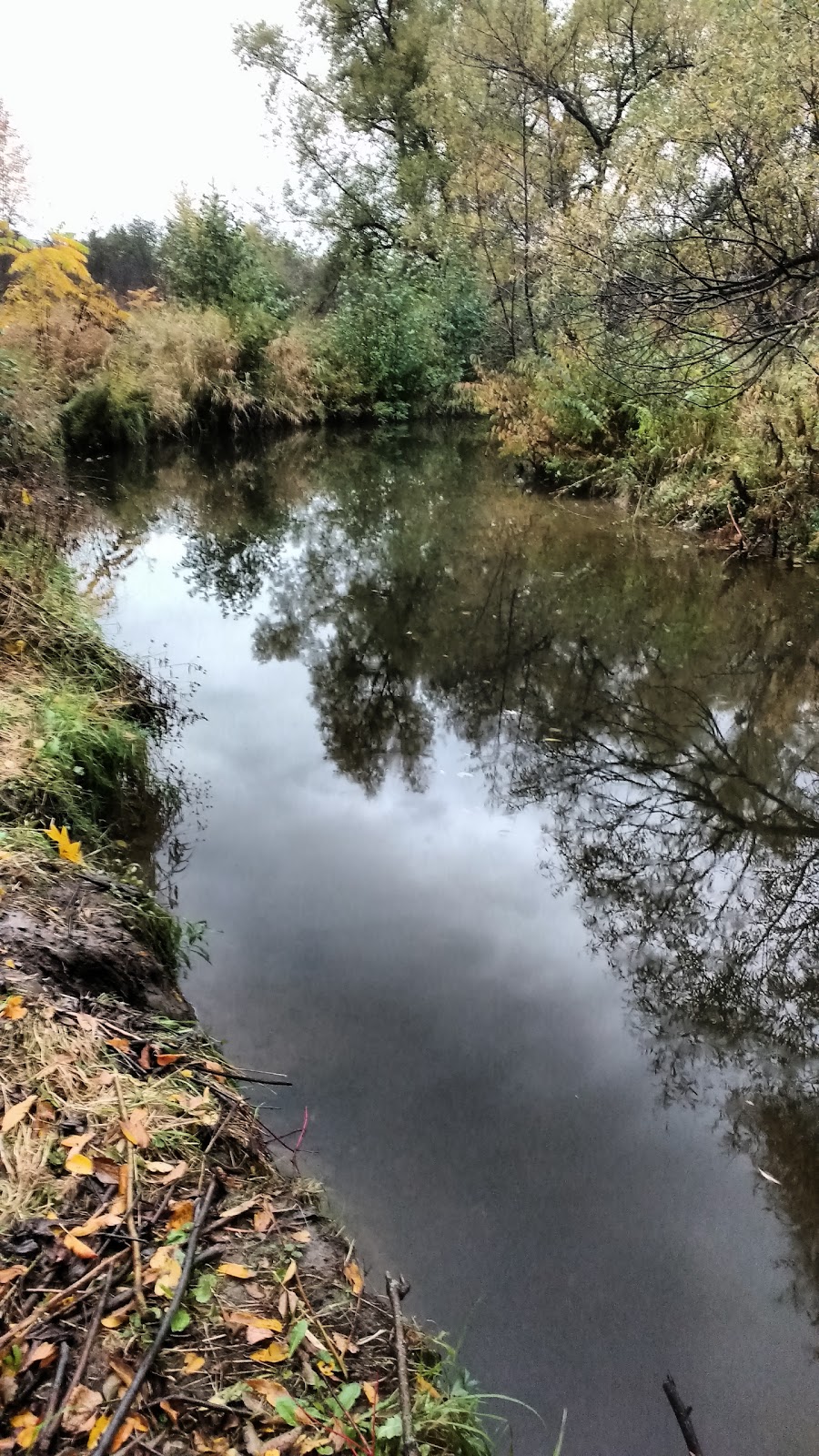 Lynde Creek | Whitby, ON L1P 1P2, Canada