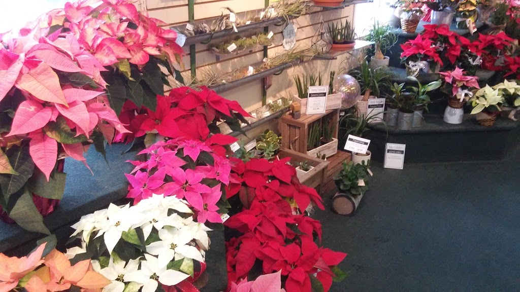 Carleton Place Nursery Ltd | 7164 County Rd No 29, Carleton Place, ON K7C 3P1, Canada | Phone: (613) 257-8175