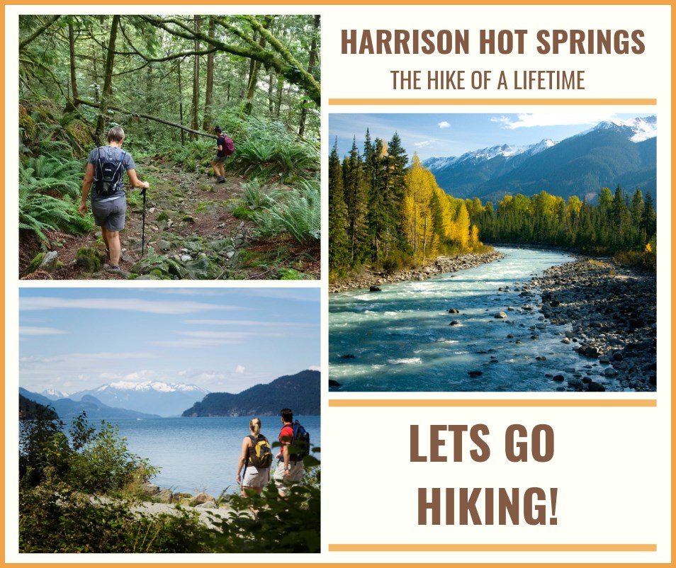 Harrison Lakeview Resort | 298 Lillooet Rd, Hope, BC V0X 1L0, Canada | Phone: (604) 491-0014