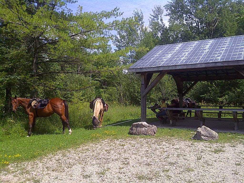 Windsong Carriage & Ranch | 597520 Grey Rd 29, Bognor, ON N0H 1E0, Canada | Phone: (519) 376-1518