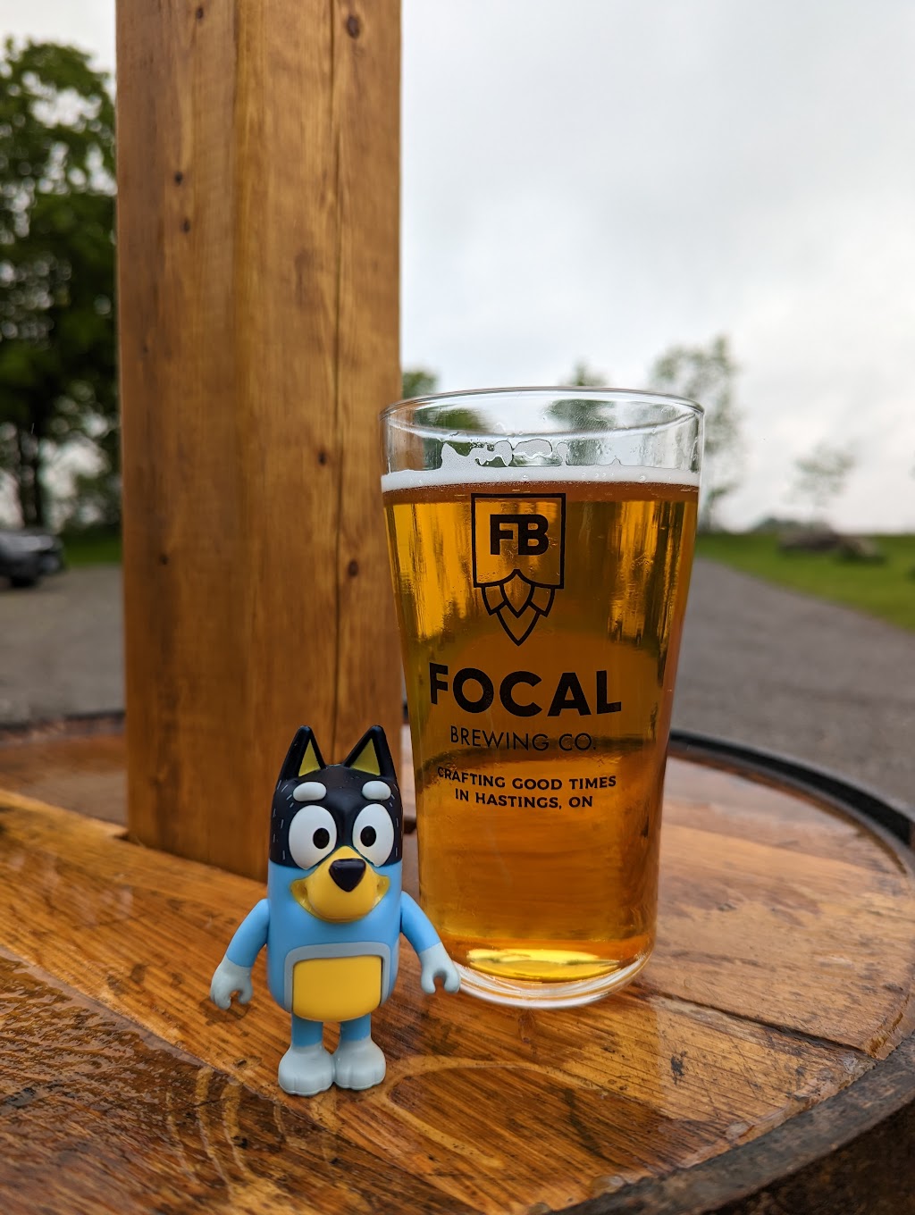 Focal Brewing Co. | 98 County Rd 35, Hastings, ON K0L 1Y0, Canada | Phone: (416) 428-3977