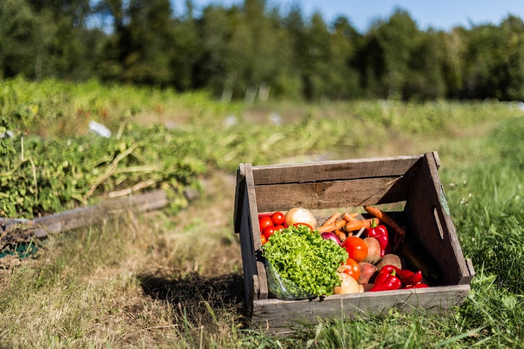 Les Jardins de la Terre | 305 Rue Principale O, Saint-Paul-dAbbotsford, QC J0E 1A0, Canada | Phone: (450) 379-5079