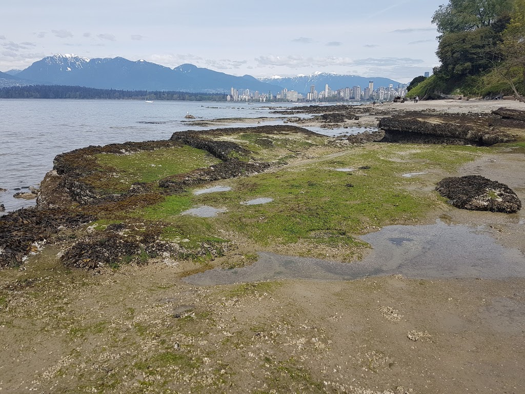 Point Grey Park Site at Stephens Street | 2699 Point Grey Rd, Vancouver, BC V6K, Canada | Phone: (604) 873-7000