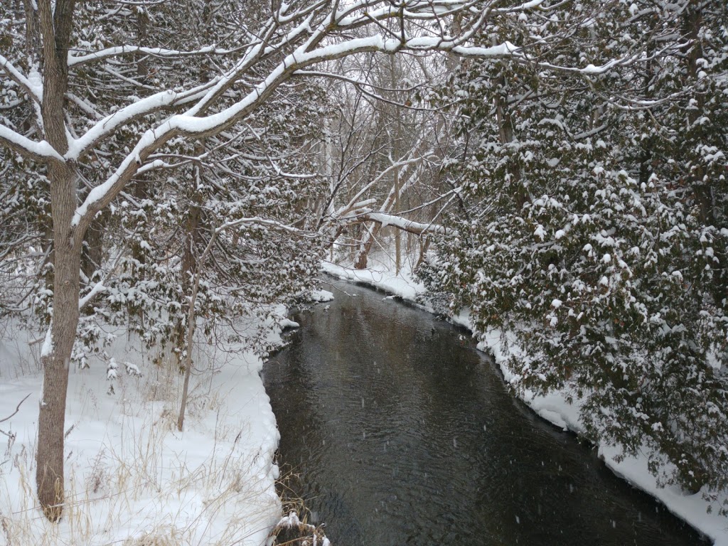 Cedarvale Park | Georgetown, ON L7G 5S2, Canada