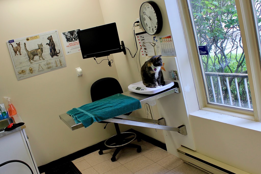 Glen Erin Animal Hospital | 2632 Liruma Rd, Mississauga, ON L5K 1Z1, Canada | Phone: (905) 822-9974