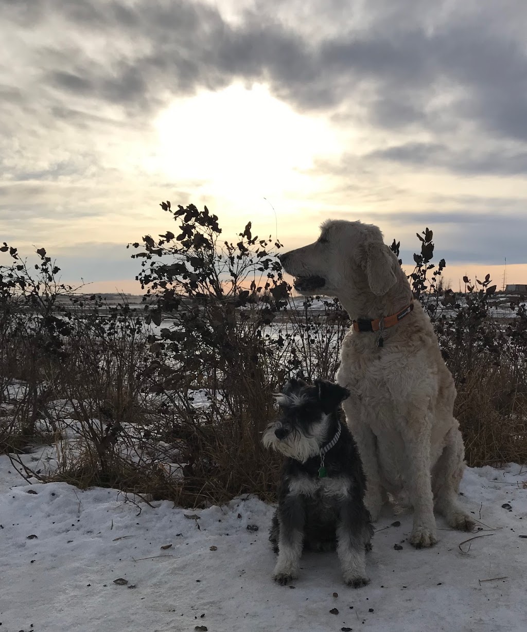 Town of Strathmore Dog Park | F 1V1, 99 Slater Rd, Strathmore, AB T1P 1R8, Canada