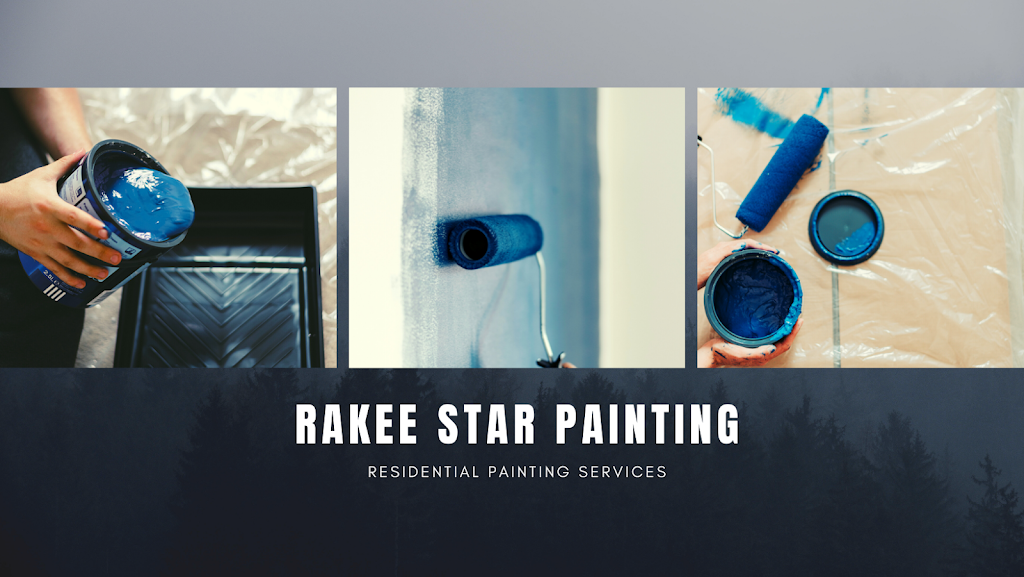 Rakee star painting | 5 Brockley Dr #1612, Scarborough, ON M1P 3J2, Canada | Phone: (437) 220-2629