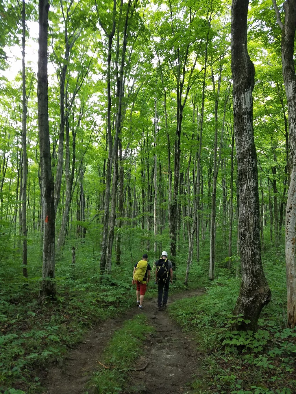 Kolapore Uplands Parking Lot | Grey Road 2, The Blue Mountains, ON N0H 2E0, Canada