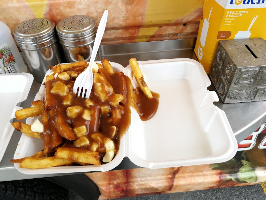 T&T Fries | 31 Northside Rd, Nepean, ON K2H 8S1, Canada | Phone: (613) 898-8646