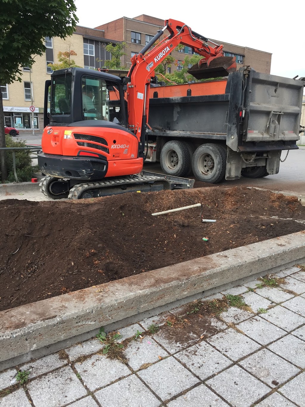 Gazon Montréal - Déneigement Montréal | 9210 Av. Émile Legault, Anjou, QC H1K 4Y8, Canada | Phone: (514) 966-3331