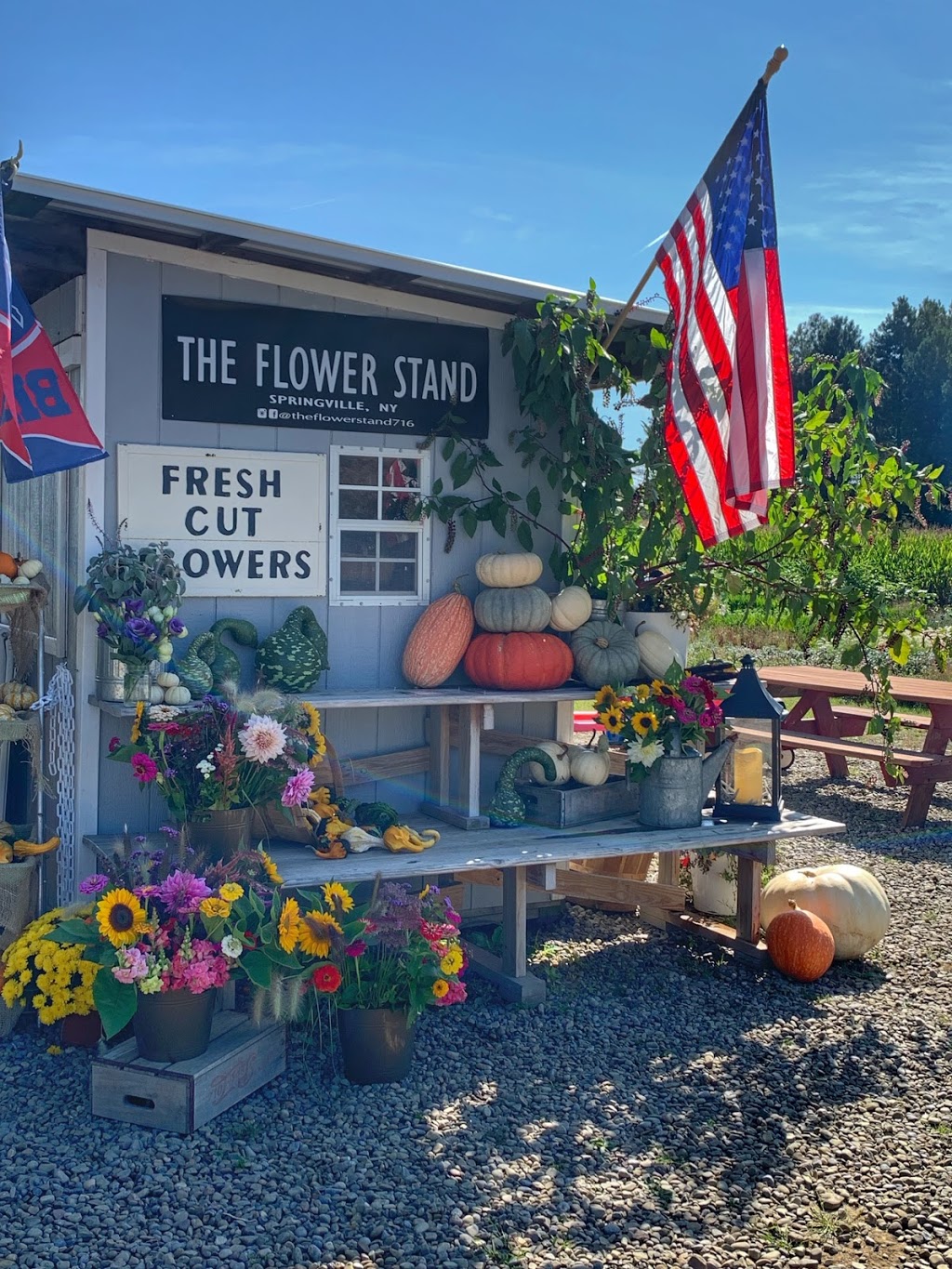 The Flower Stand | 13187 Vaughn St, Springville, NY 14141, USA | Phone: (716) 913-0626