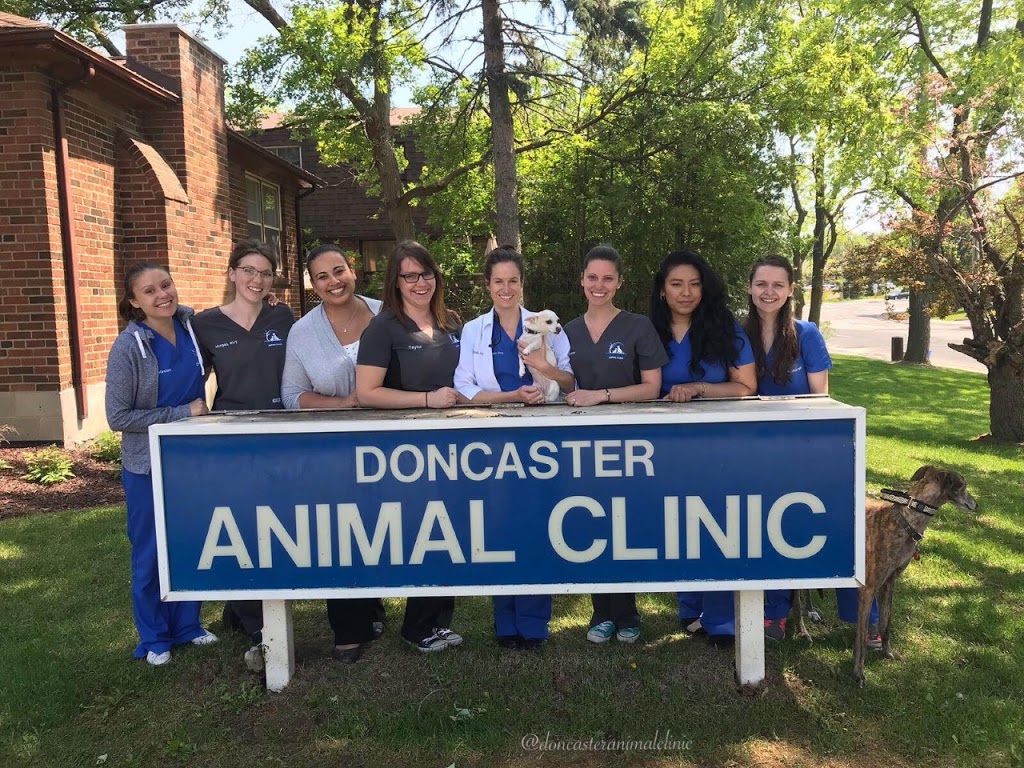 Doncaster Animal Clinic | 99 Henderson Ave, Thornhill, ON L3T 2K9, Canada | Phone: (905) 881-2922