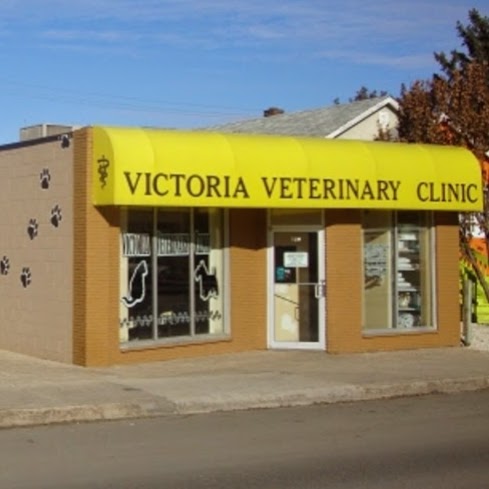 Victoria Veterinary Clinic Inc | 628 Victoria Ave, Regina, SK S4N 0R1, Canada | Phone: (306) 522-8802