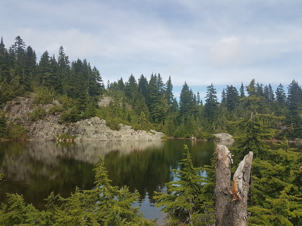 Mystery Lake Trail | Seymour mountain, Mystery Lake hike, North Vancouver, BC V7G 1L3, Canada