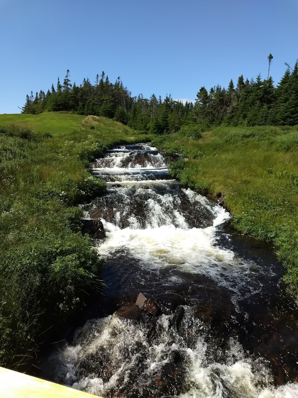 The Wilds Resort at Salmonier River | 299 Salmonier Line, Holyrood, NL A0A 2R0, Canada | Phone: (709) 229-5444