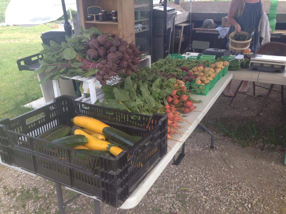 Birch Farms - NON-GMO Produce and Buttertarts | 1962 Mill St W, Hillsdale, ON L0L 1V0, Canada | Phone: (705) 322-2062