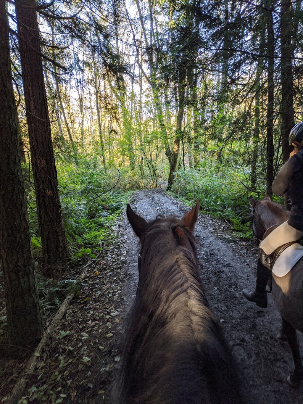 Campbell Downs Equestrian Centre | 1255 208 St, Langley, BC V2Z 1T4, Canada | Phone: (604) 530-4983