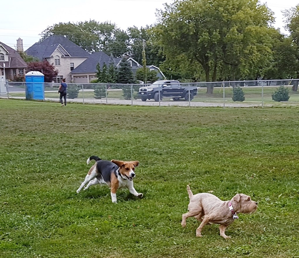 Steve McDonnell Leash Free Dog Park | 170 Lake St, Grimsby, ON L3M 5T3, Canada | Phone: (905) 945-1288