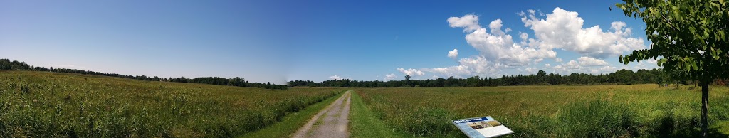 Lemoine Point Conservation Area | Trillium Trail, Kingston, ON K7M, Canada