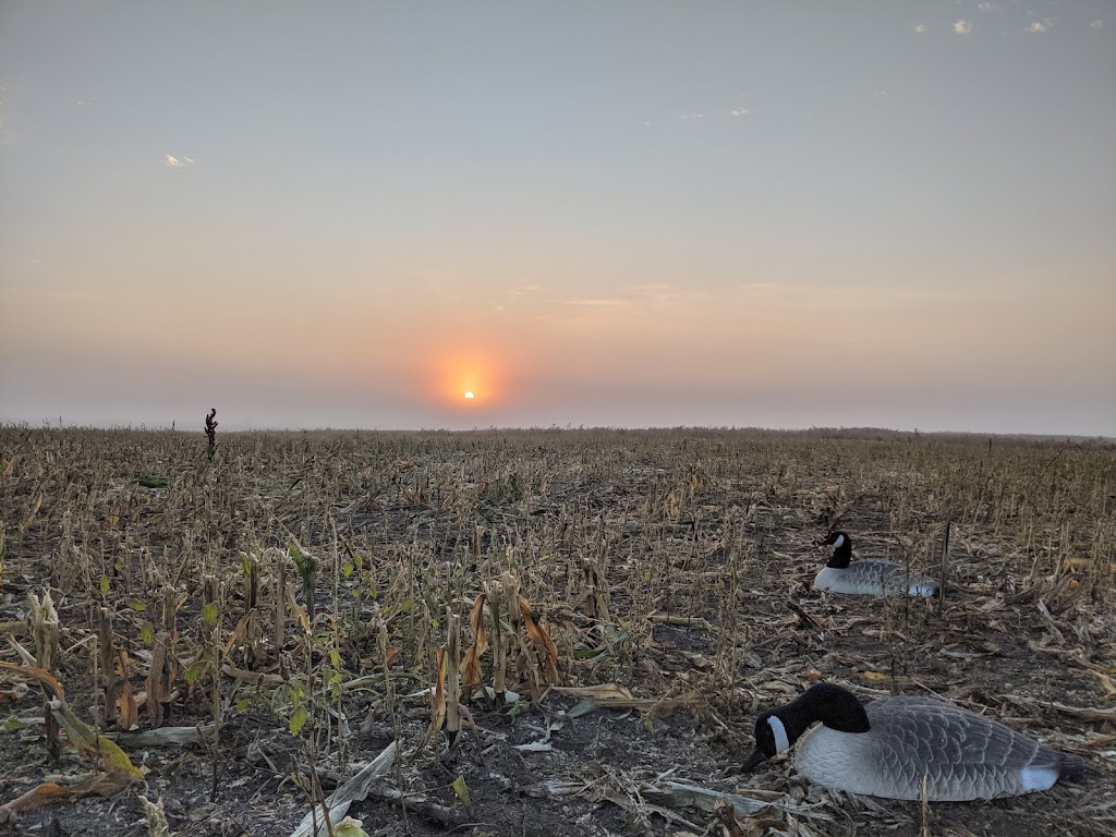 Harvest Lodge on Waterhen River | Lodge Lane, 392 Manitoba Highway 276, Waterhen, MB R0L 2C0, Canada | Phone: (204) 628-3491