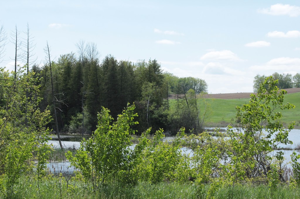 The Rosary Path at Marylake | 13760 Keele St, King City, ON L7B 1A3, Canada | Phone: (905) 995-6302