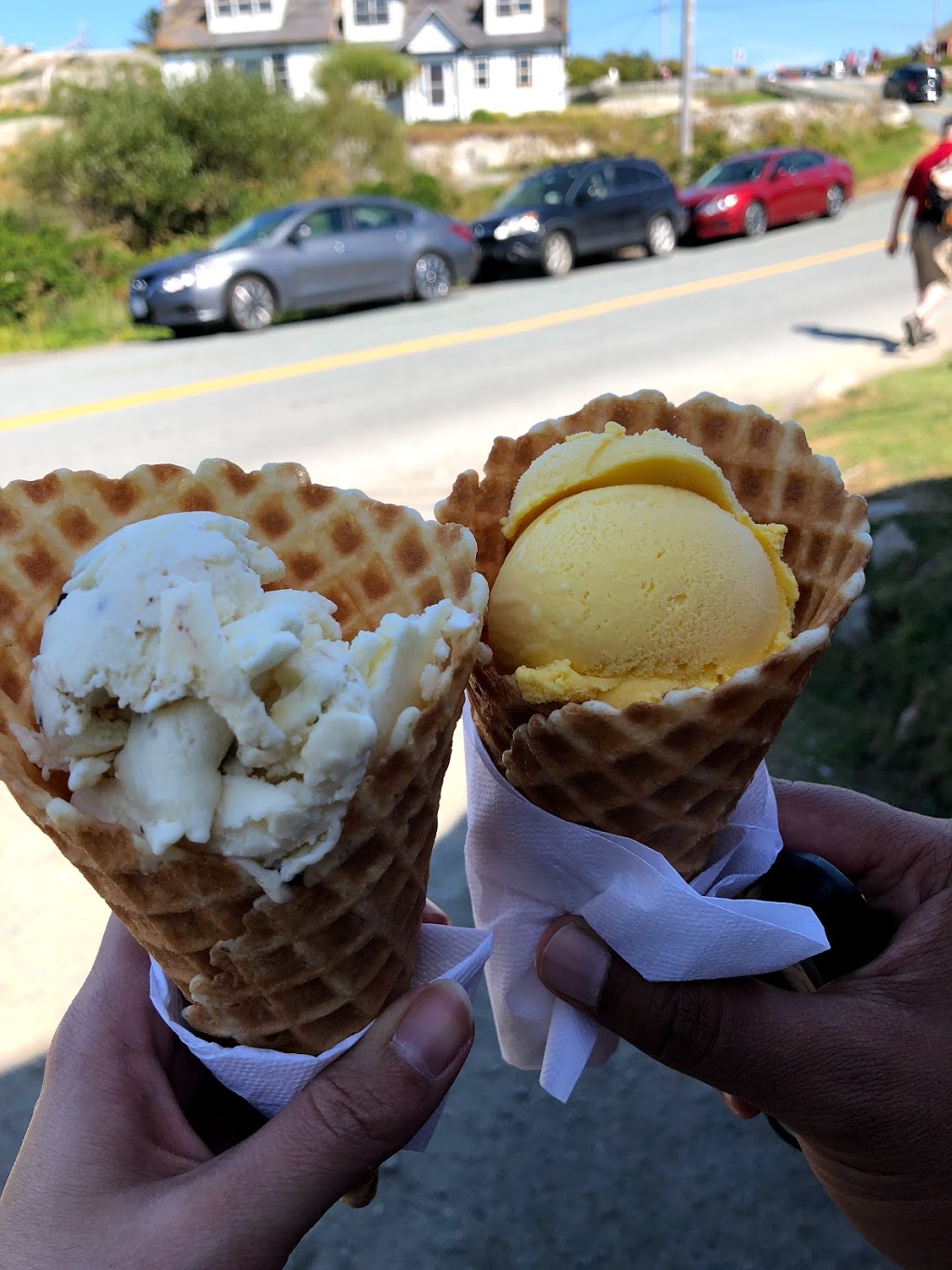 Dee Dees Ice Cream | 110 Peggys Point Rd, Peggys Cove, NS B3Z 3S2, Canada