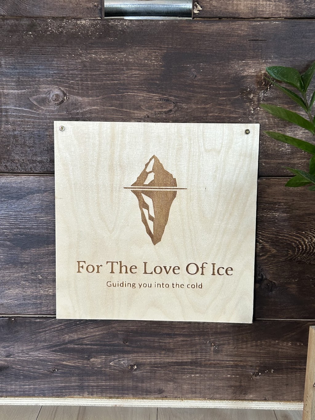 For The Love Of Ice | 352 Durham St E, Walkerton, ON N0G 2V0, Canada | Phone: (519) 901-0625