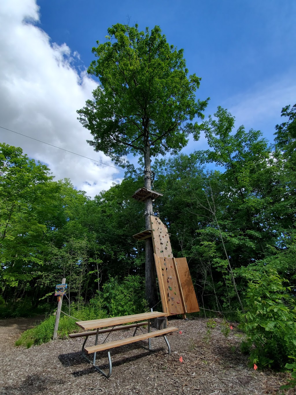 Treetop Trekking Hamilton | 5050 Harrison Rd, Binbrook, ON L0R 1C0, Canada | Phone: (289) 286-1016