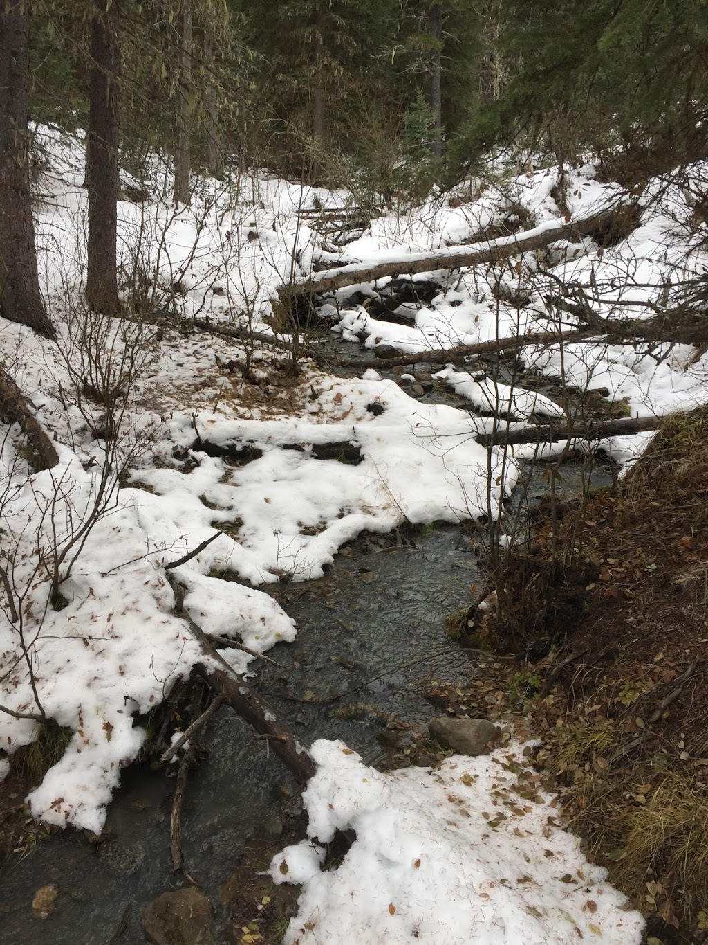 Fullerton Loop Hiking Trail | Alberta 66, Bragg Creek, Kananaskis, AB T0L 0K0, Canada