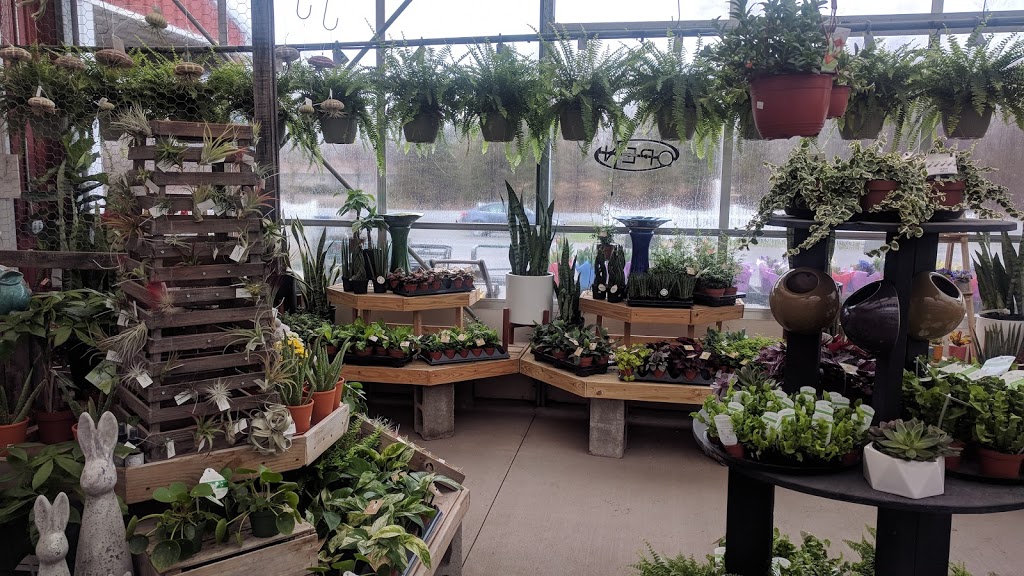 Badding Bros Farm Market and Garden Center | 10820 Transit Rd, East Amherst, NY 14051, USA | Phone: (716) 636-7824