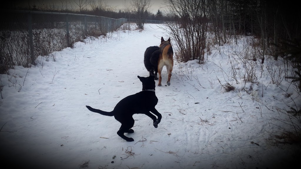 K9 Off-Leash Dog Park | Leduc, AB T9E 3C3, Canada | Phone: (780) 980-7166