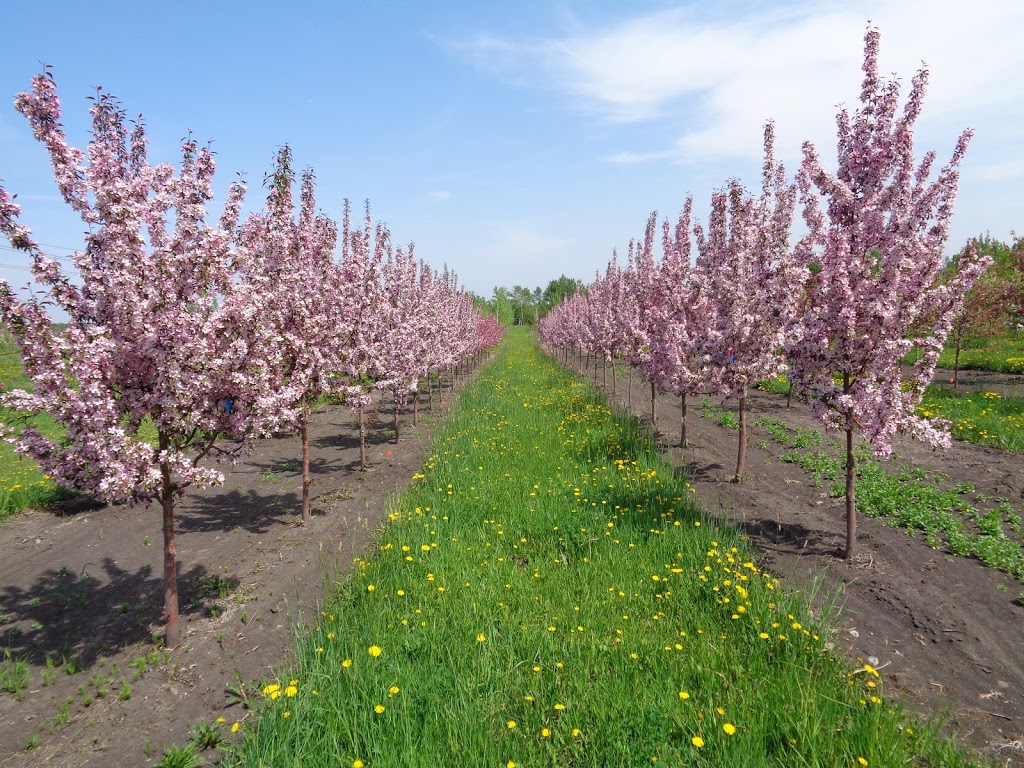 West Haven Nursery & Farms (By Appt. Only Please) | 36366 Range Rd 25, Spruce View, AB T4G 0N1, Canada | Phone: (403) 728-2100