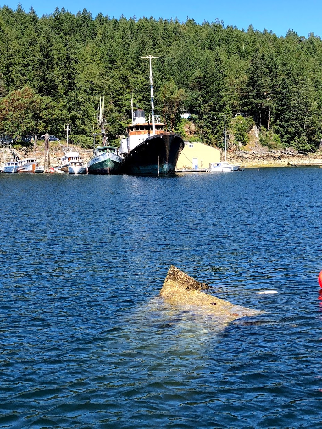 Slo Cat Pender Harbour Tours | 12967 Madeira Park Rd, Madeira Park, BC V0N 2H0, Canada | Phone: (604) 741-3796