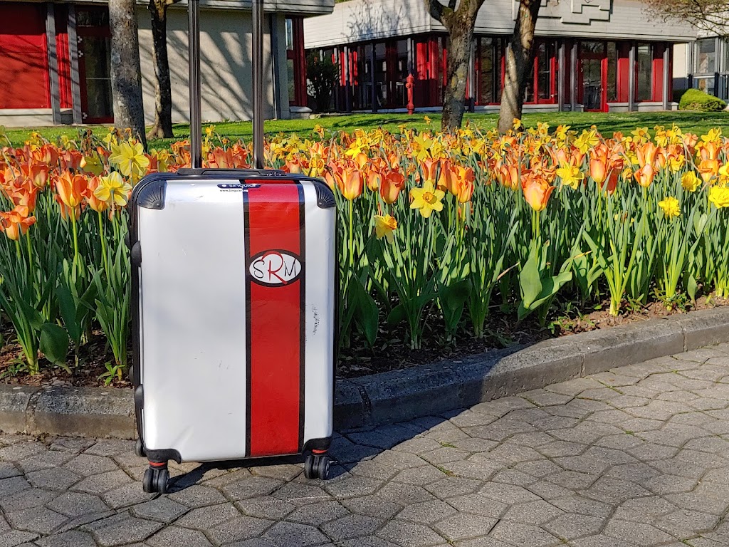 Singular Luggage | 15 Elton Crescent, Toronto, ON M8W 2X9, Canada | Phone: (647) 675-2519