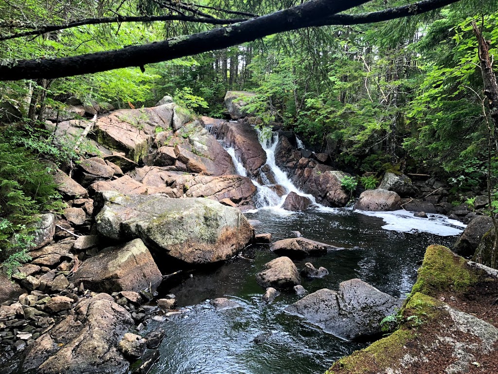 Pockwock Falls Trailhead | 1366 Pockwock Rd, Upper Hammonds Plains, NS B4B 1P2, Canada