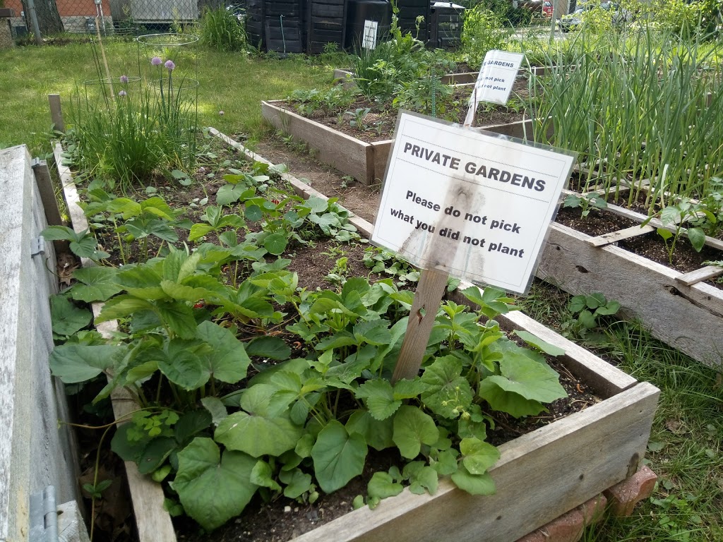 Lowertown Community Garden | 1G1, Patro St, Ottawa, ON K1N 1G1, Canada | Phone: (613) 789-3930